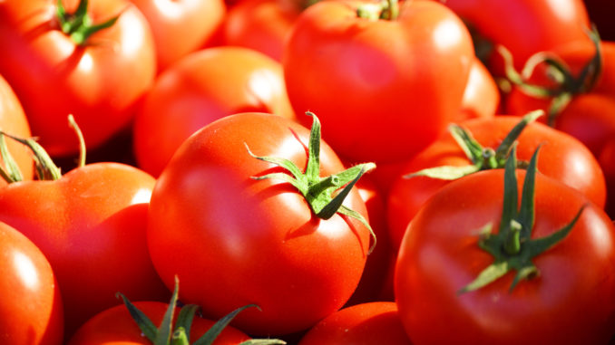 Fresh organic tomatoes on the street stall