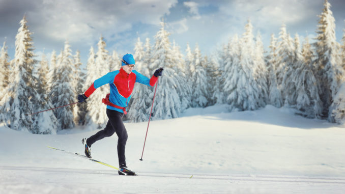 The Cross-country Skier in winter forest